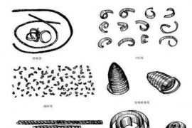 CNC数控加工小切屑，大学问—金属切削分类及切屑控制！