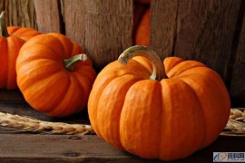 UG建模实例，南瓜三维模型制作，学习UG产品设计必学造型技巧 ...