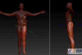 教你如何在Zbrush中用选区制作遮罩调整角色姿势