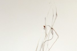 纽约艺术家用FDM 3D打印机“自由创作”（图文教程）