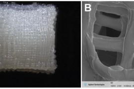 科学家将干细胞植入3D打印支架以修复关节（图文教程）