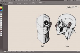 你可能还不知道的10个ZBrush小技巧！建模初学者，不容错过