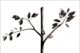 Photoshop平面设计的6种最常用抠图技巧