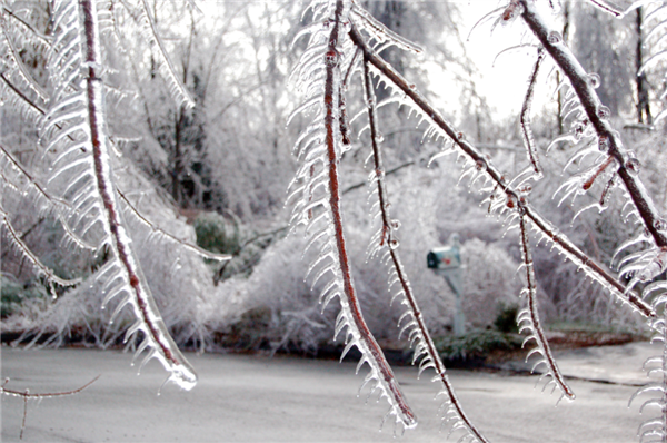 科学家收集冰挂生长数据可用于3D打印（图文教程）,科学家收集冰挂生长数据可用于3D打印,用于,第3张