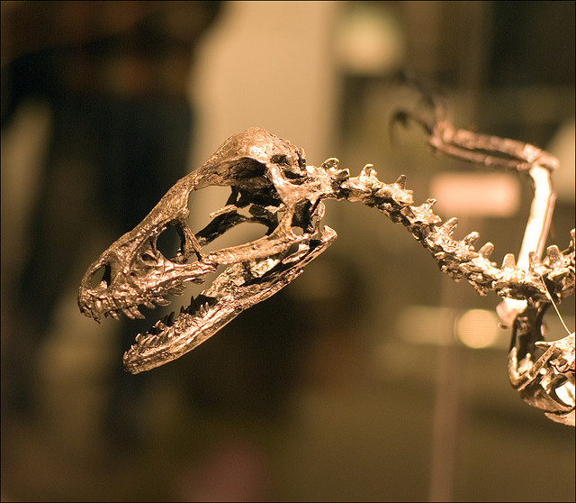 3D打印改变世界的几种方式（图文教程）,3D打印改变世界的几种方式,方式,打印,教程,第3张