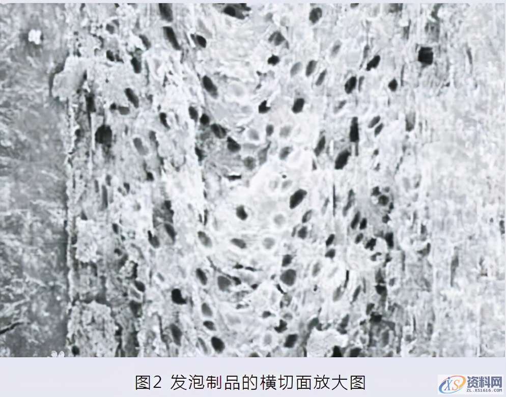 注射低发泡成型技术,注射低发泡成型技术,成型,第2张