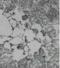 轮齿折断的原因(图文教程),轮齿折断的原因,要求,这个,如图,第5张