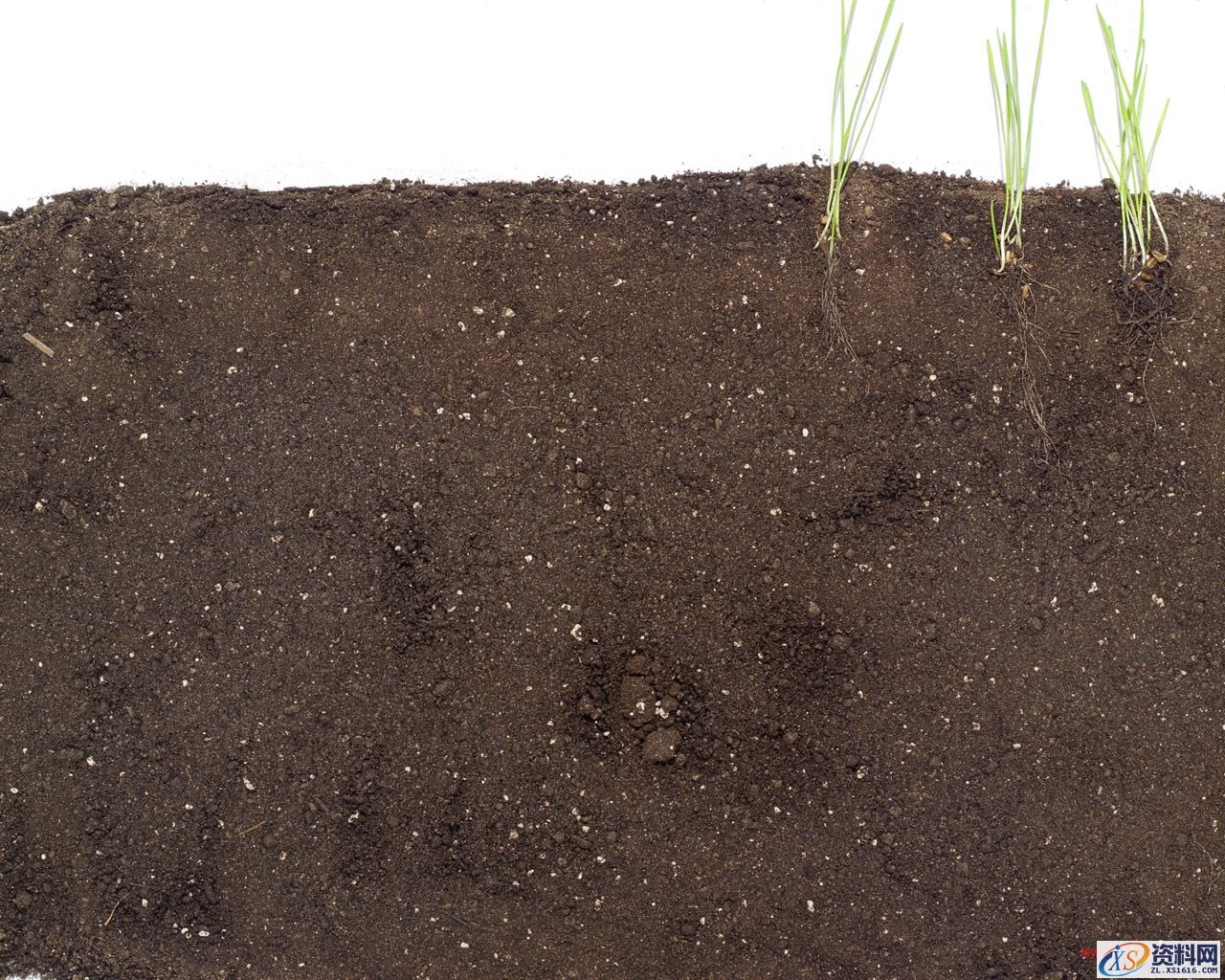 Photoshop制作浪漫的超现实情人节海报教程(图文教程),Photoshop制作浪漫的超现实情人节海报教程,产品,步骤,角度,第13张