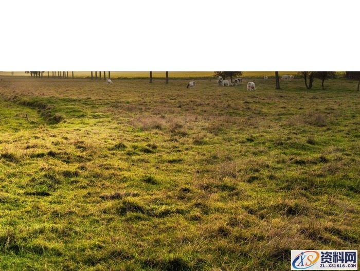 PS合成小孩走入奇幻森林场景教程(图文教程),PS合成小孩走入奇幻森林场景教程,设计,一般,选择,第5张