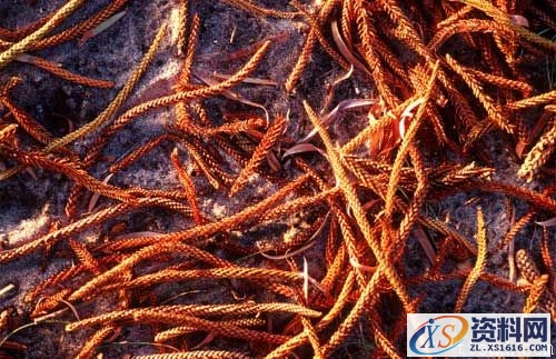 光线理论-自然光(图文教程),光线理论-自然光,结构,一般,这个,第10张