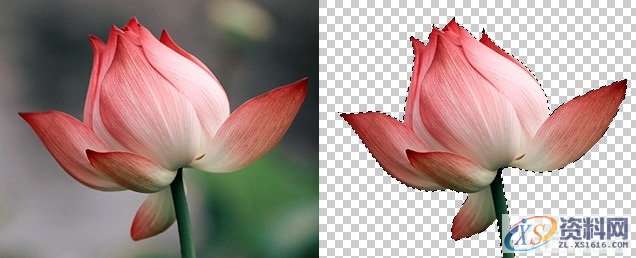 平面设计中的抠图技法与修图思路,设计,产品,结构,第8张